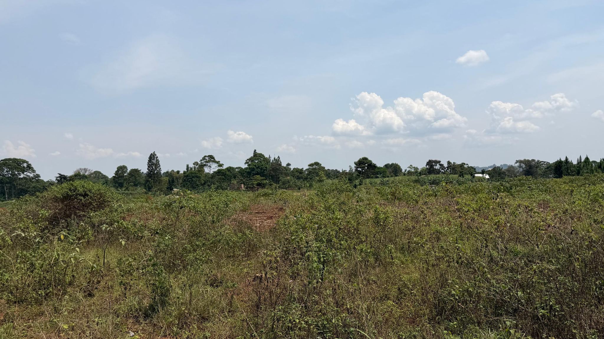 Malongwe land covered in green bush under a partly cloudy sky